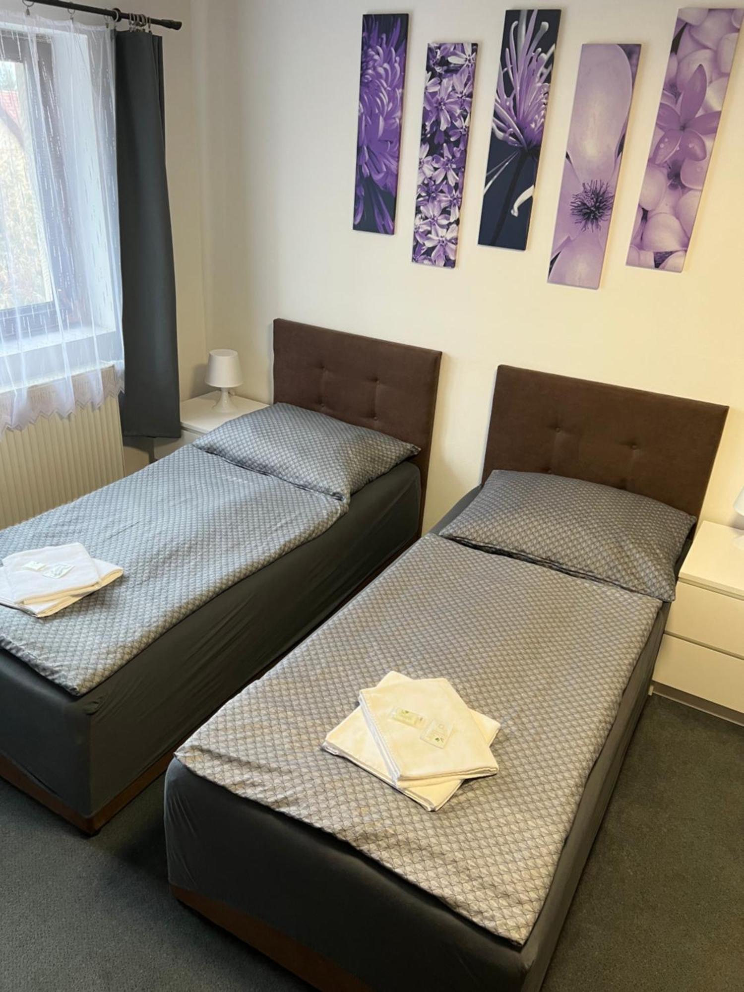 Hajek Guest house